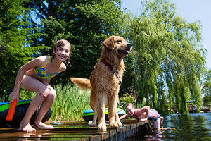 Tierfreundliche Hotels