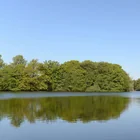 Bramfelder See Bramfelder See