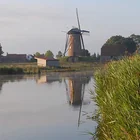 Rembrandts Pferde Niederlande Headmotiv