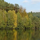 Gelterswoog Gelterswoog