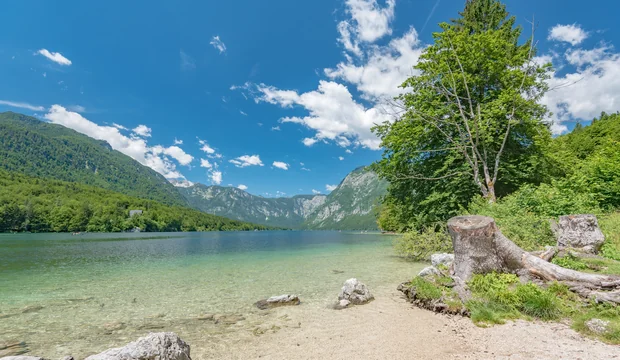 Der Bohinjer See
