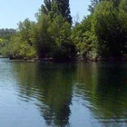 Binsfeldsee Binsfeldsee