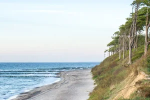Nationalpark Vorpommersche Boddenlandschaft
