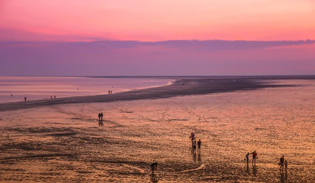 Boddenlandschaft an der Nordseeküste