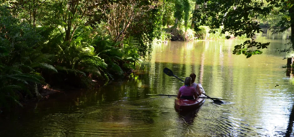Vom Wasser aus den Spreewald entdecken