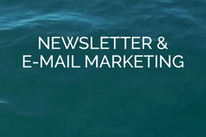 Newsletter & E-Mail Marketing Newsletter & E-Mail Marketing