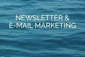 Newsletter & E-mail Marketing Newsletter & E-mail Marketing