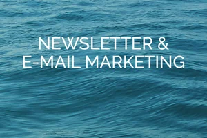 Newsletter & E-mail Marketing Newsletter & E-mail Marketing