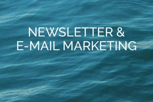 Newsletter & E-mail Marketing Newsletter & E-mail Marketing
