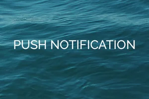 Push Notifications Push Notifications