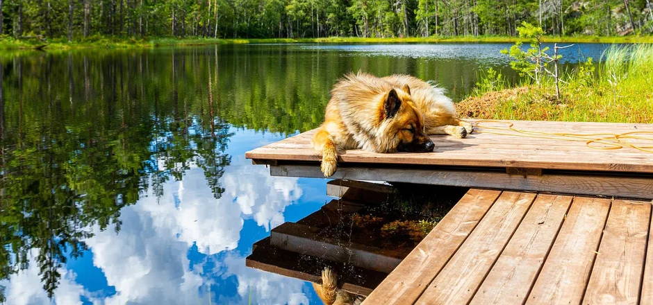 Lange Spaziergänge und die perfekte Abkühlung im Sommer!
